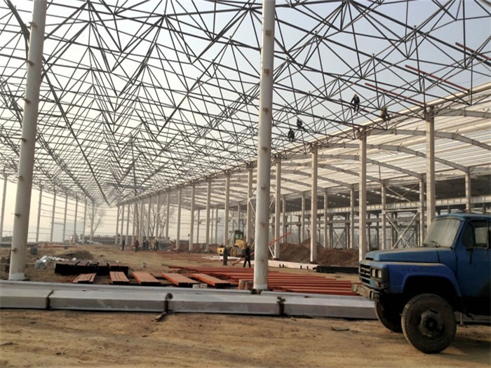 东莞网架架构工程